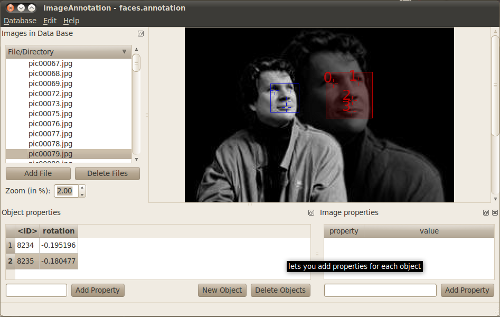 screen shot of the image annotation tool under linux